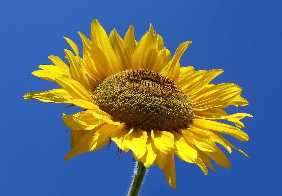 test01152