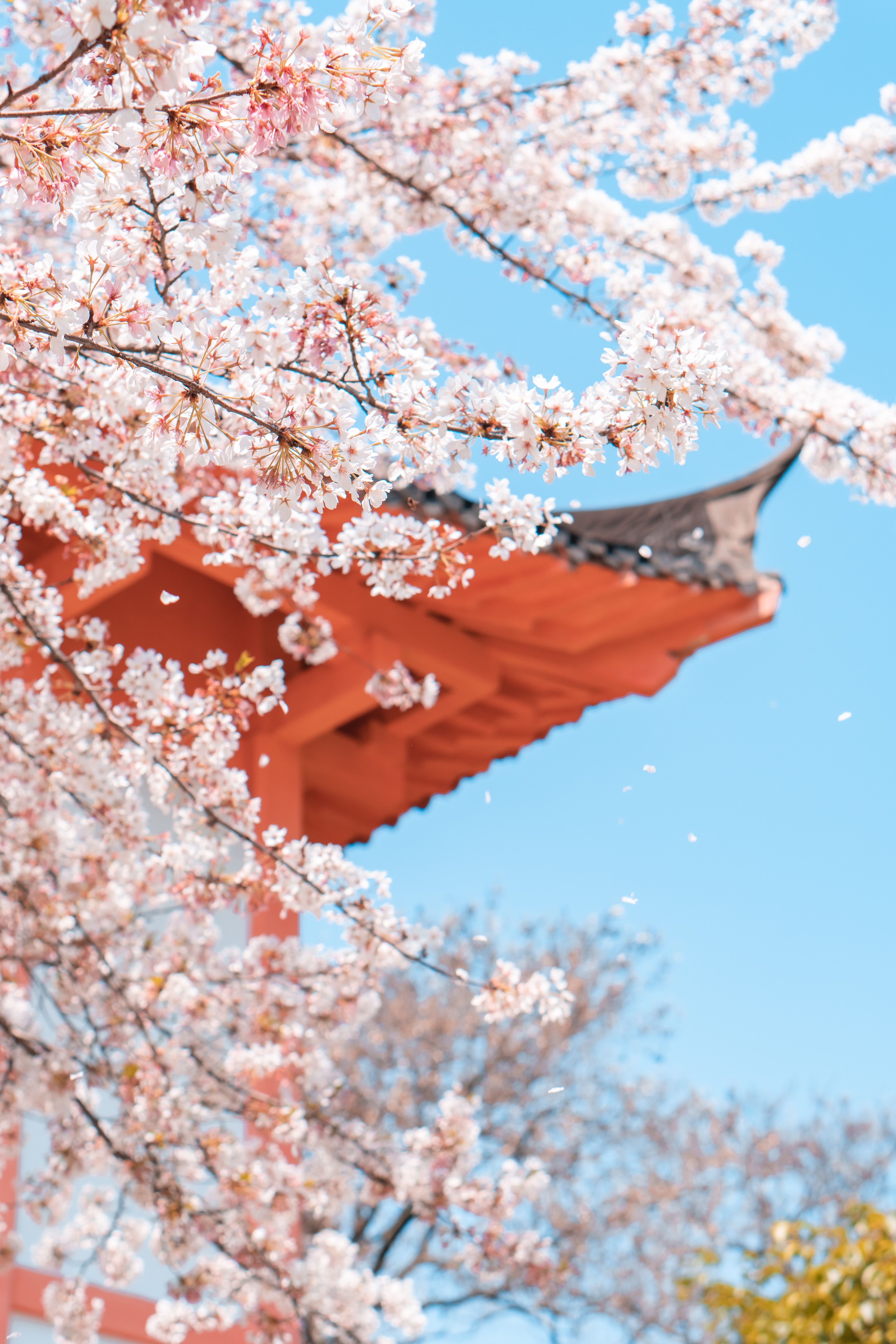 Lorem ipsum dolor sit amet, consectetuer adipiscing elit. Aenean commodo ligula eget dolor. Aenean massa. Cum sociis natoque penatibus et magnis dis parturient montes, nascetur ridiculus mus. Donec quam felis, ultricies nec, pellentesque eu, pretium quis,