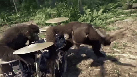 【金継Phase 2】クラス4