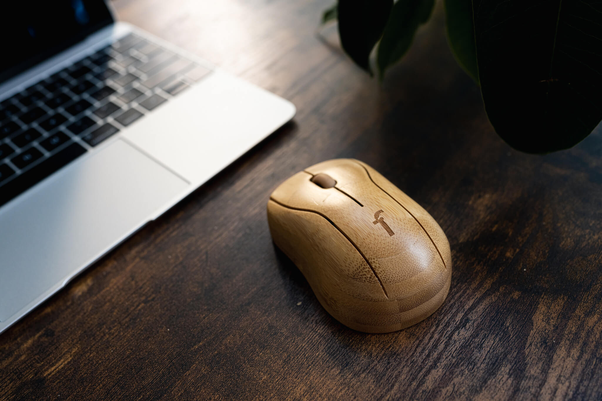 Bamboo Mouse