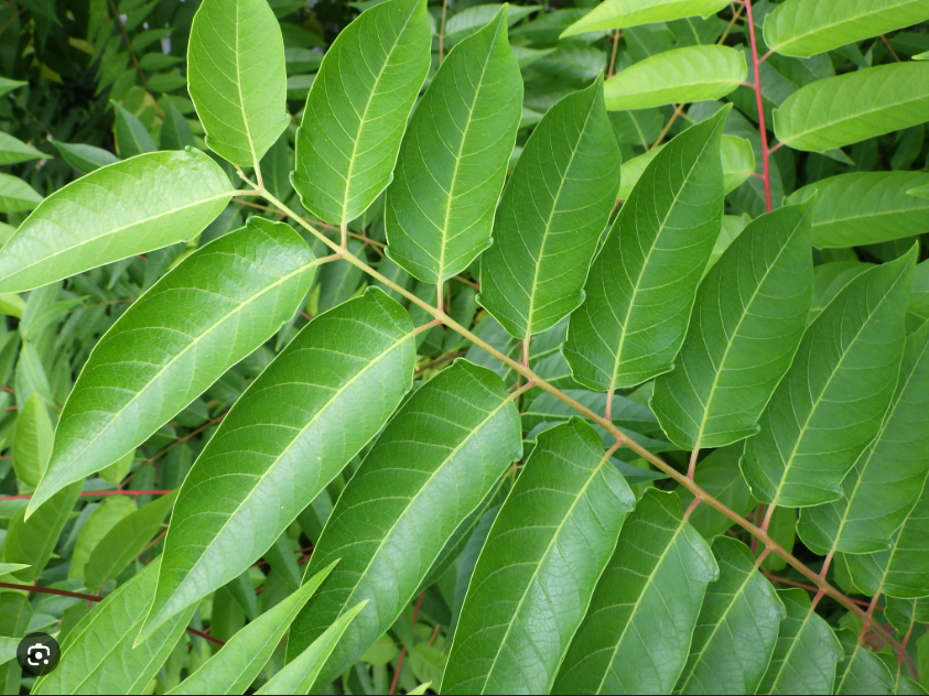 【金継Phase 2】物1