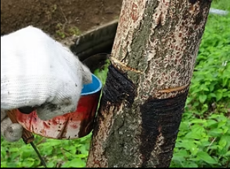 【金継Phase 2】物1