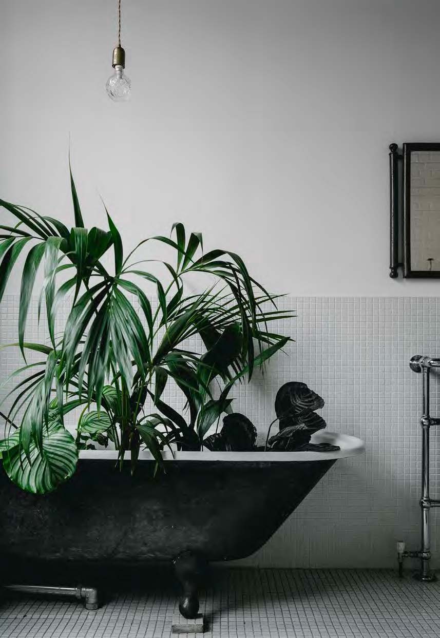 [QC only] Freewill title 21Dec - Long text - Lorem ipsum dolor sit amet, consectetuer adipiscing elit. Aenean commodo ligula eget dolor. Aenean massa. Cum sociis natoque pe END